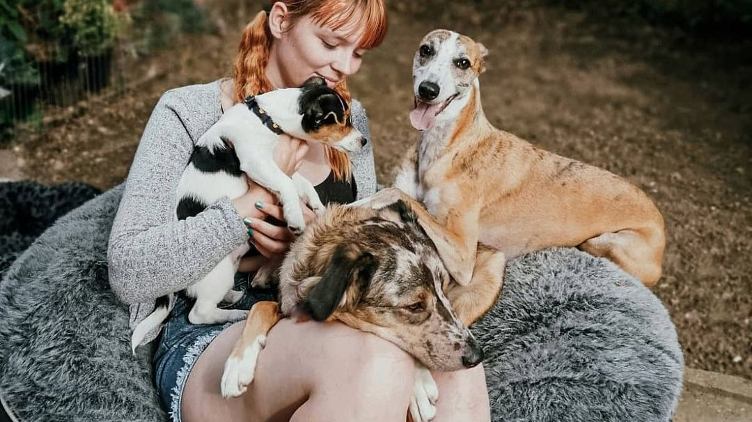 How to Help Your Dog Adjust to His New Dog Bed