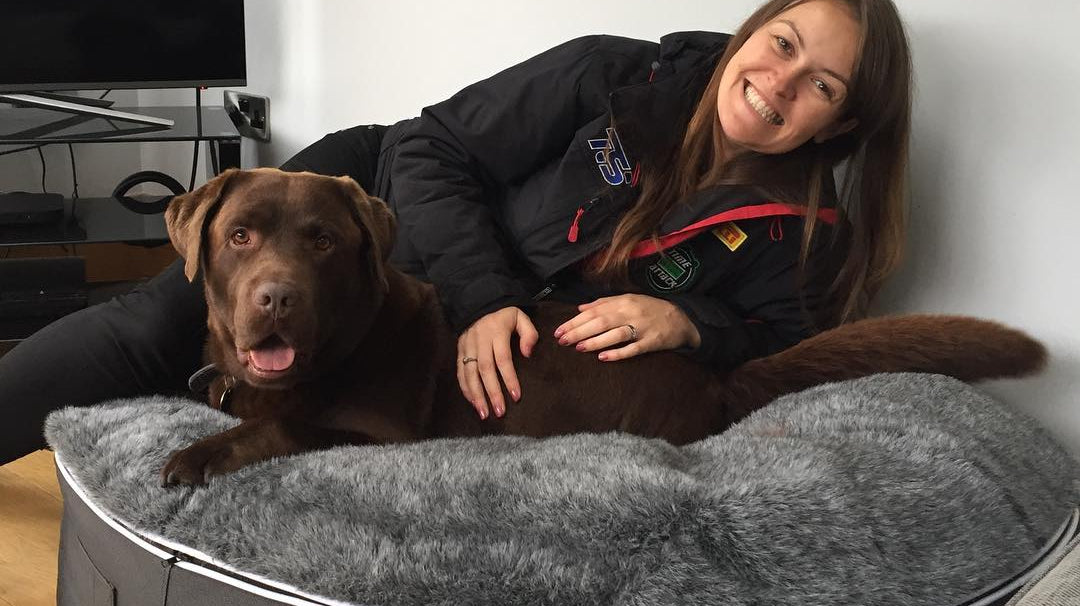 10 Helpful Tips For First-Time Dog Owners