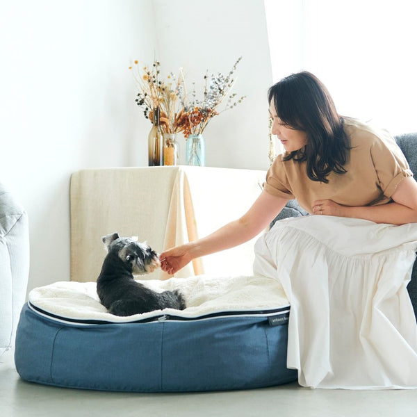 (M) Premium Indoor/Outdoor Dog Bed (Blue Dream Organic Cotton)