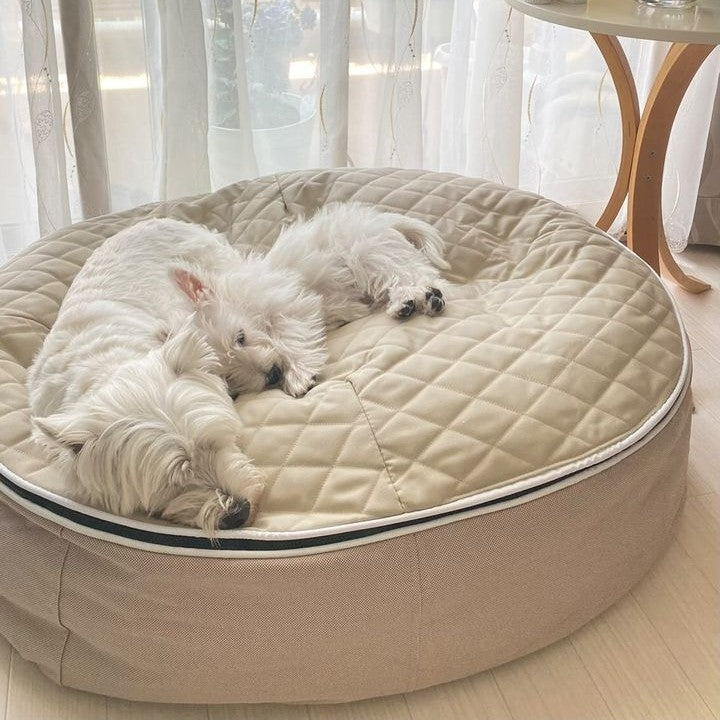 Keeping your dogs comfortable-every season