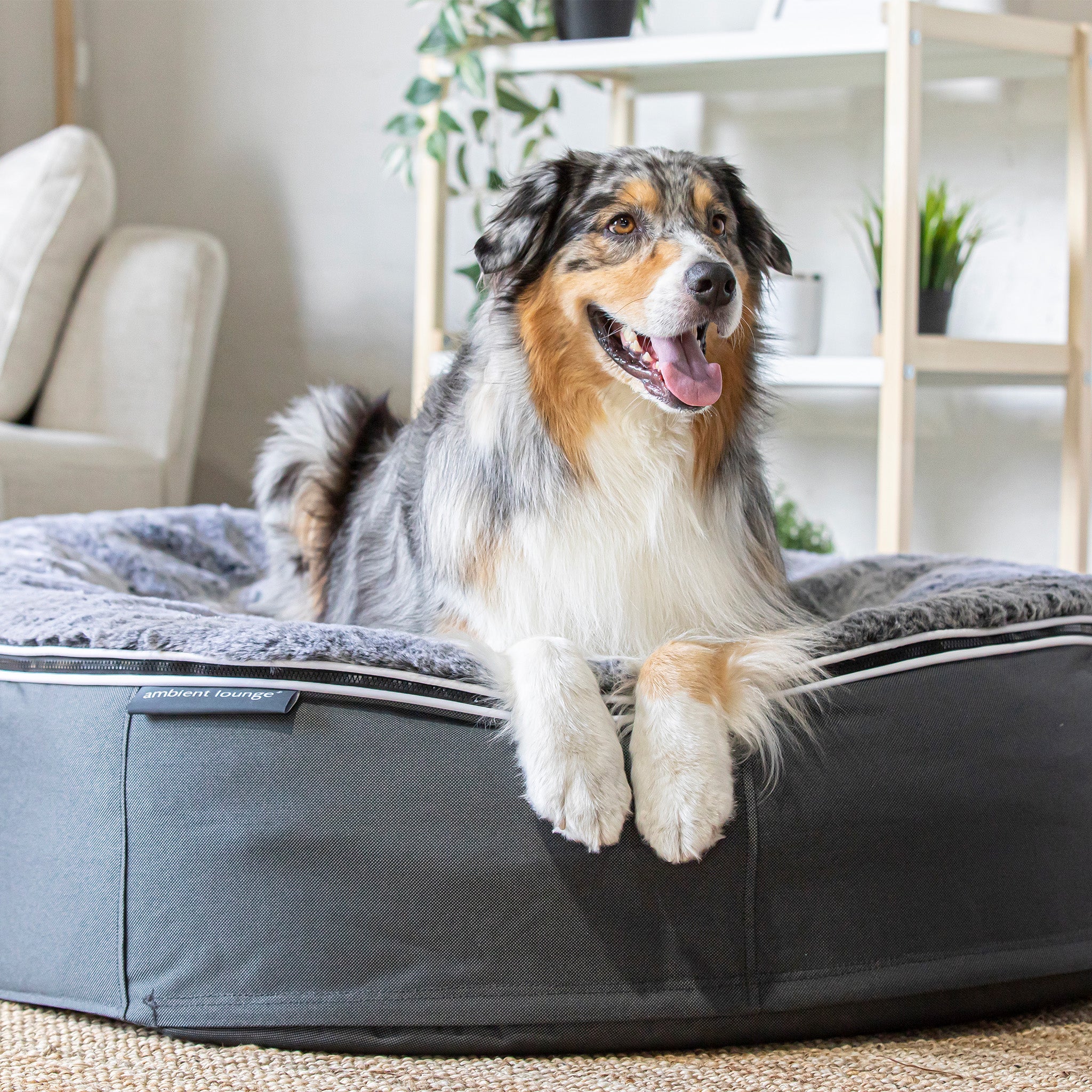 Silken Grey Dog Beds