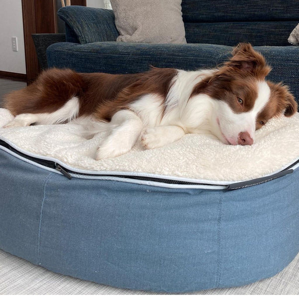 (L) Premium Indoor/Outdoor Dog Bed (Blue Dream Organic Cotton)